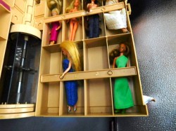 glamour gals case view